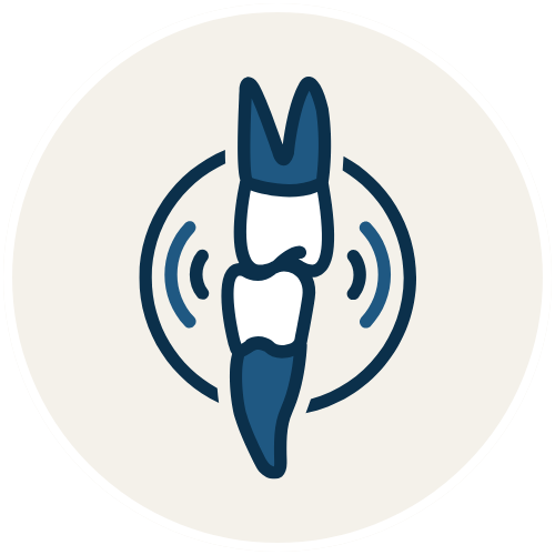 Impacted Canine Teeth